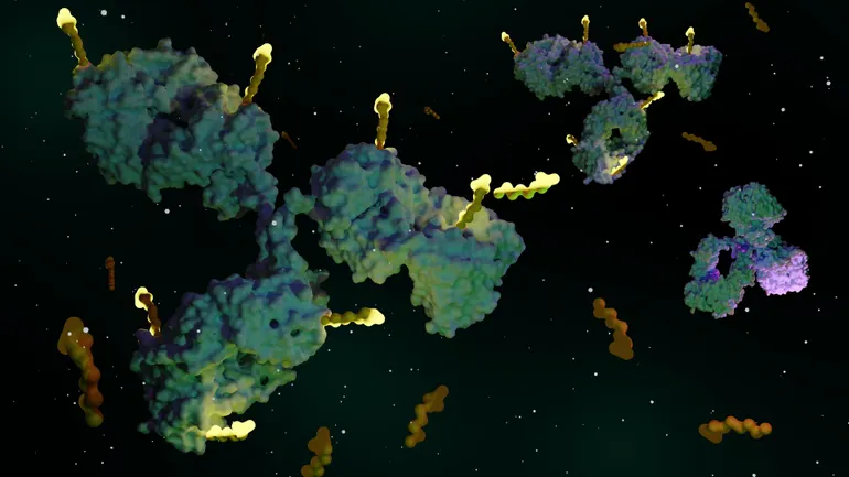 A Spanish biotech banks $87M to make differentiated ADCs