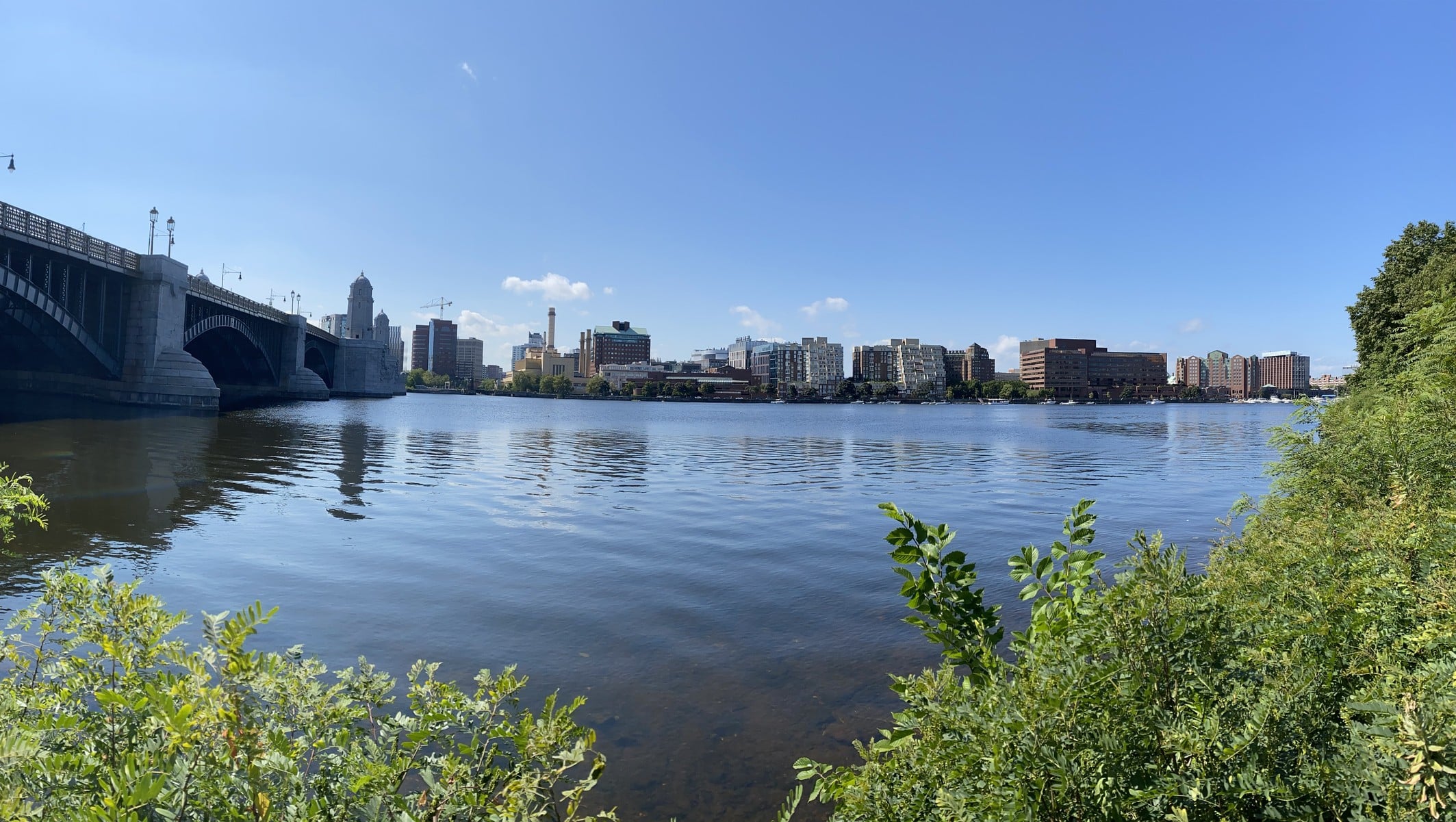 From executive assistant to chief executive: Charles River CEO Birgit Girshick on 'the next big transition' in the CRO industry