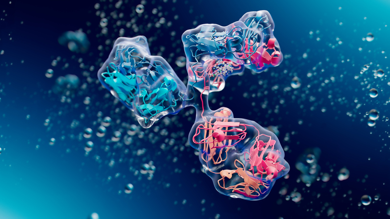 How iBio aims to stand out in obesity by targeting 'both sides of the equation' for antibody discovery