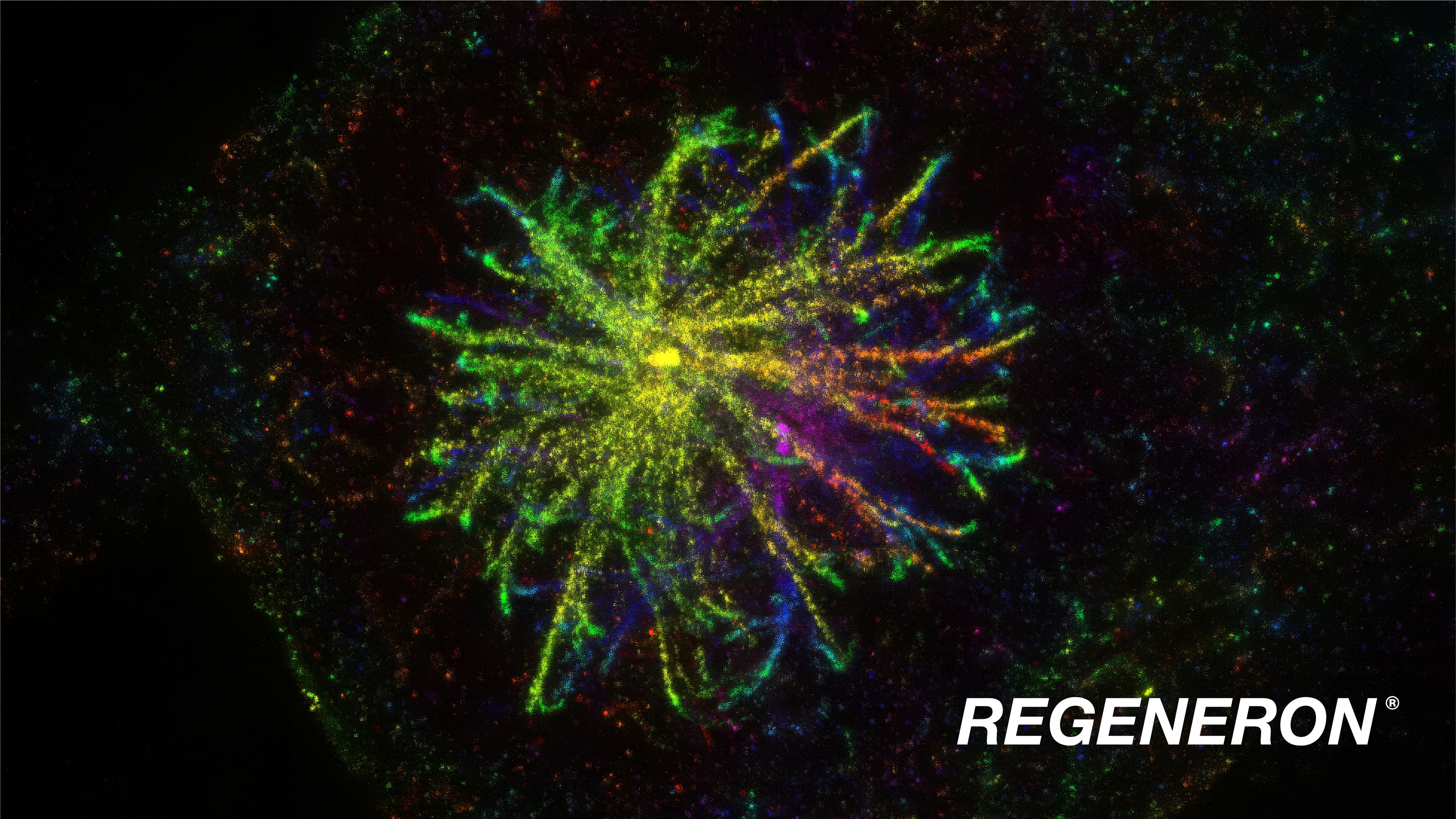 Regeneron podcast turns science learnings into immersive experience