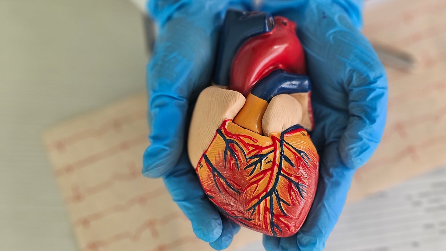Rocket receives $150m credit facility to advance cardiovascular portfolio