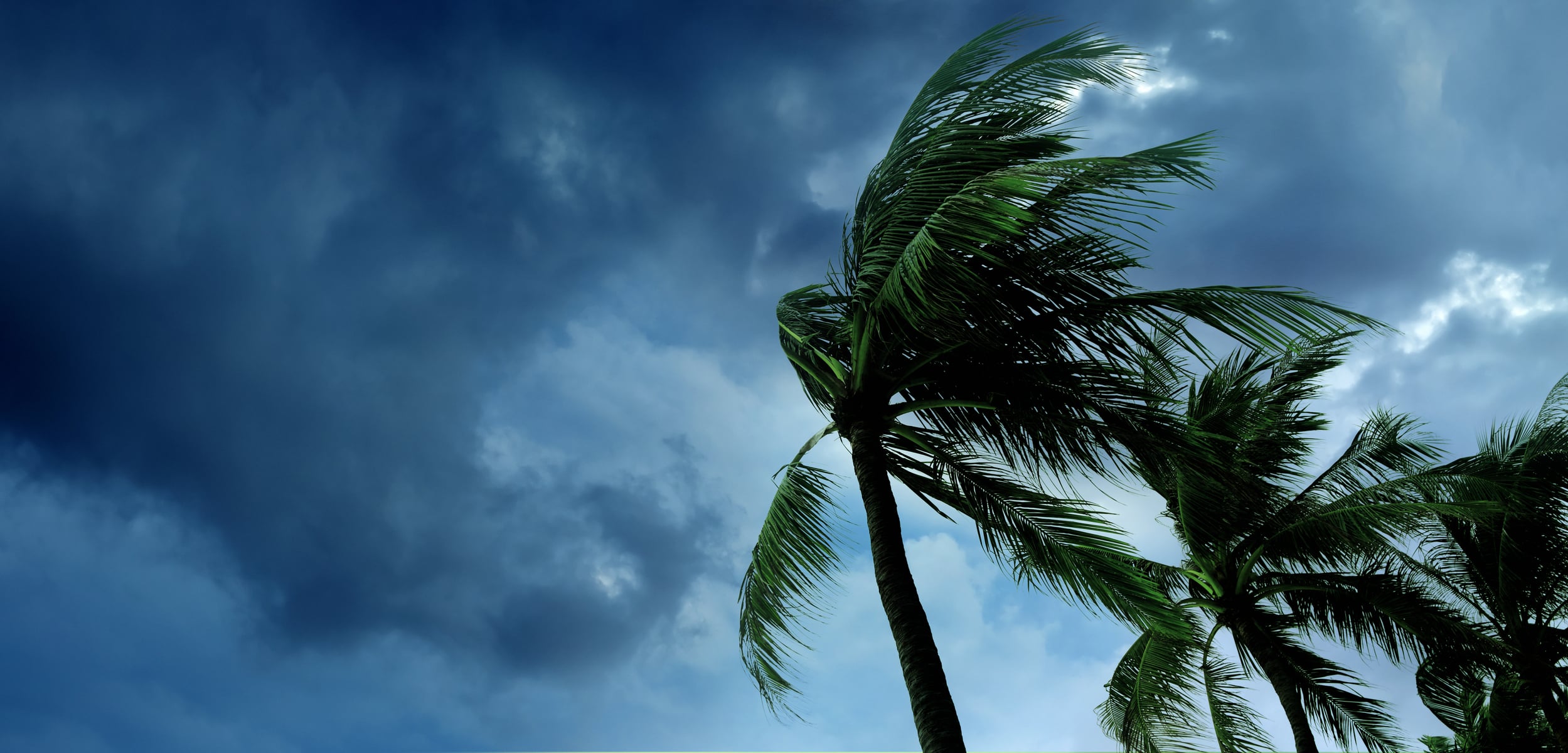 Storm’s $56M Raise Puts RNA Editing on Venture Capital’s Radar