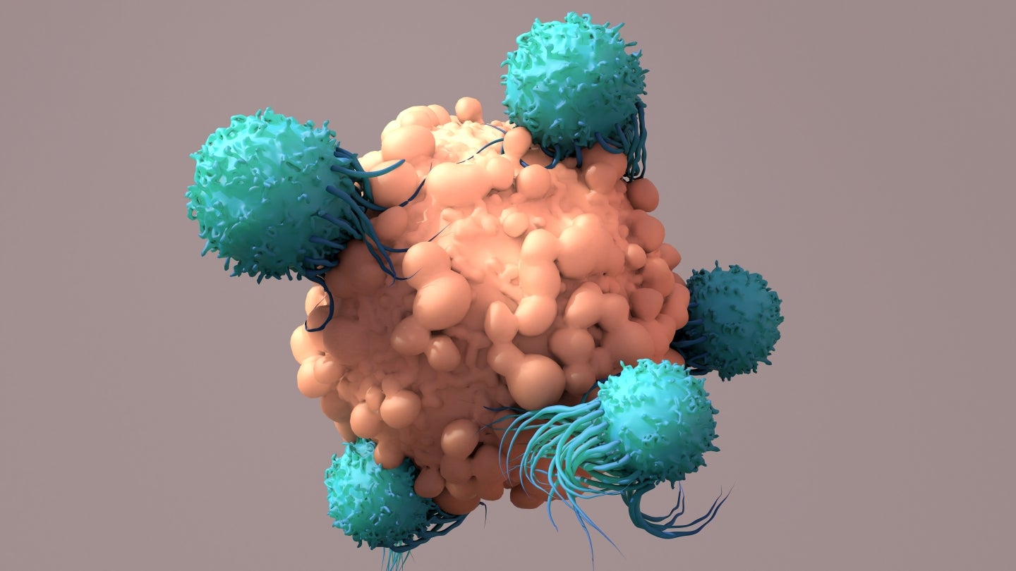 The innovators working to make in vivo cell therapy a reality